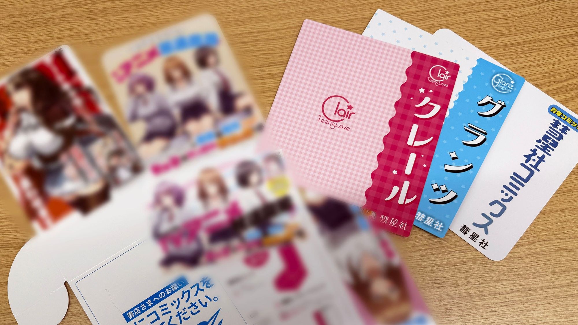 株式会社彗星社様の書店向け販促物（ご提供画像）